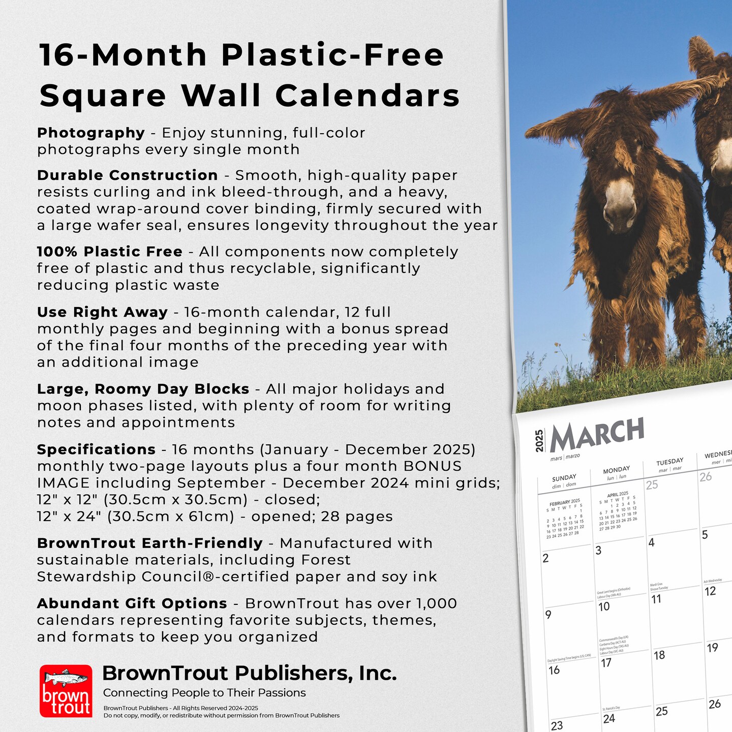 Donkeys | 2025 12 x 24 Inch Monthly Square Wall Calendar | Plastic-Free | BrownTrout | Domestic Animals