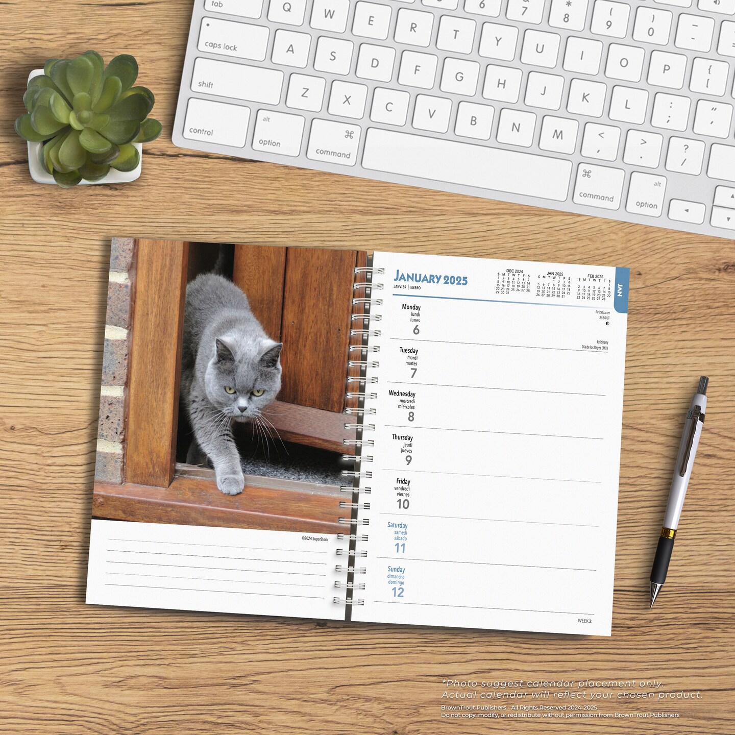 Cat Lovers | 2025 6 x 7.75 Inch Spiral-Bound Wire-O Weekly Engagement Planner Calendar | New Full-Color Image Every Week | BrownTrout | Animals Domestic Kittens Feline