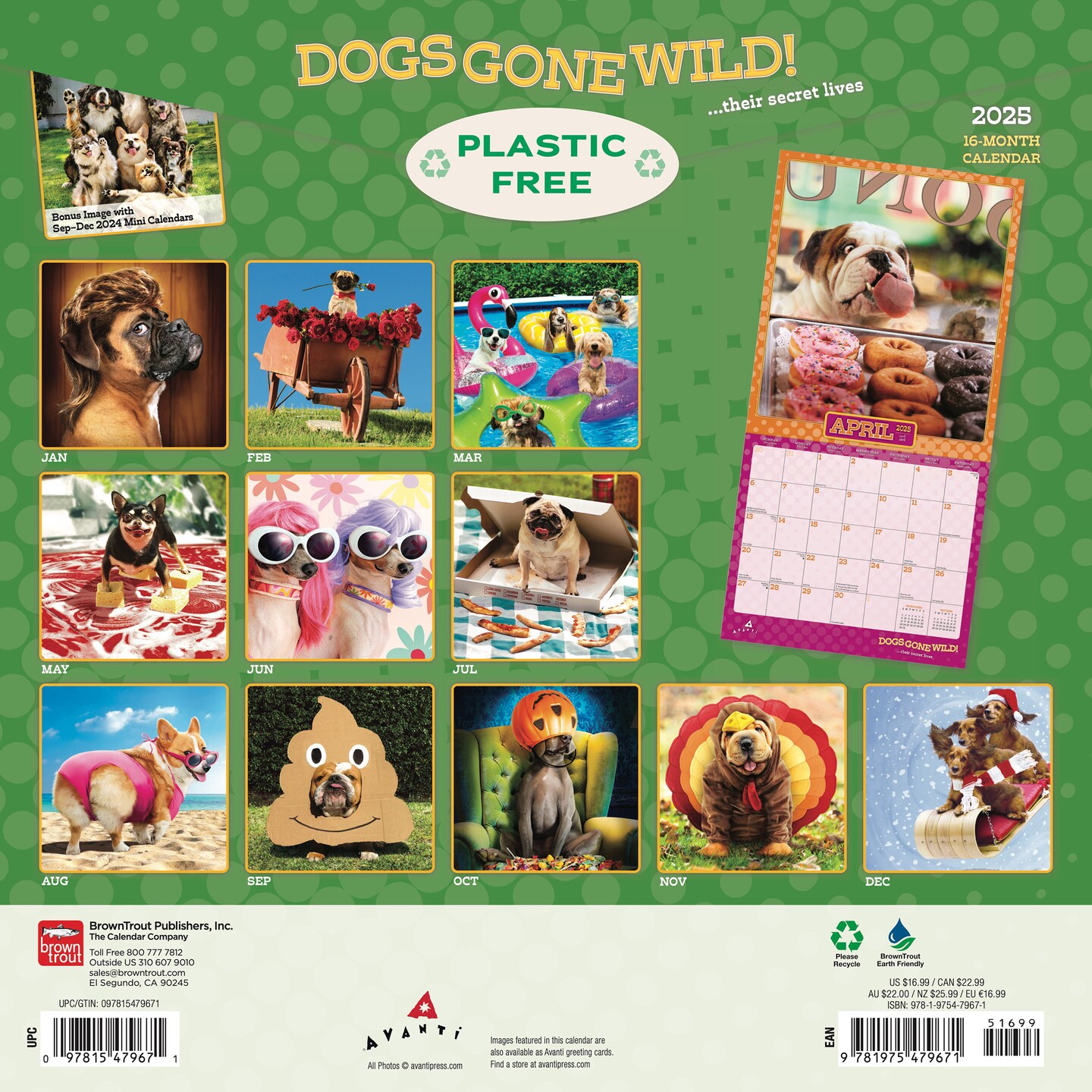 Avanti Dogs Gone Wild OFFICIAL | 2025 12 x 24 Inch Monthly Square Wall Calendar | Plastic-Free | BrownTrout | Canine Pet Humor