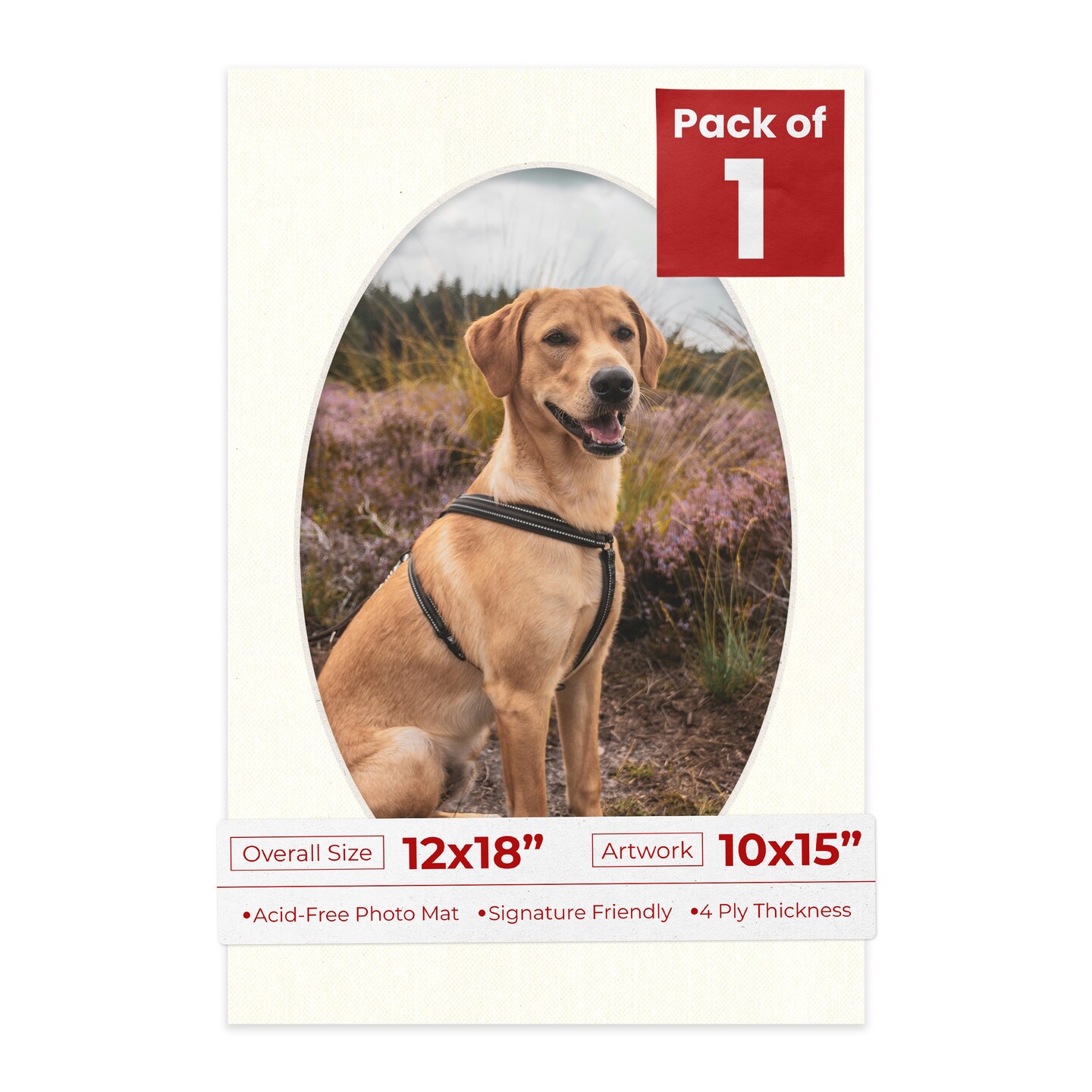 Beige Canvas Mat Board for 12x18 Frames - Oval Opening for 10x15 Photos