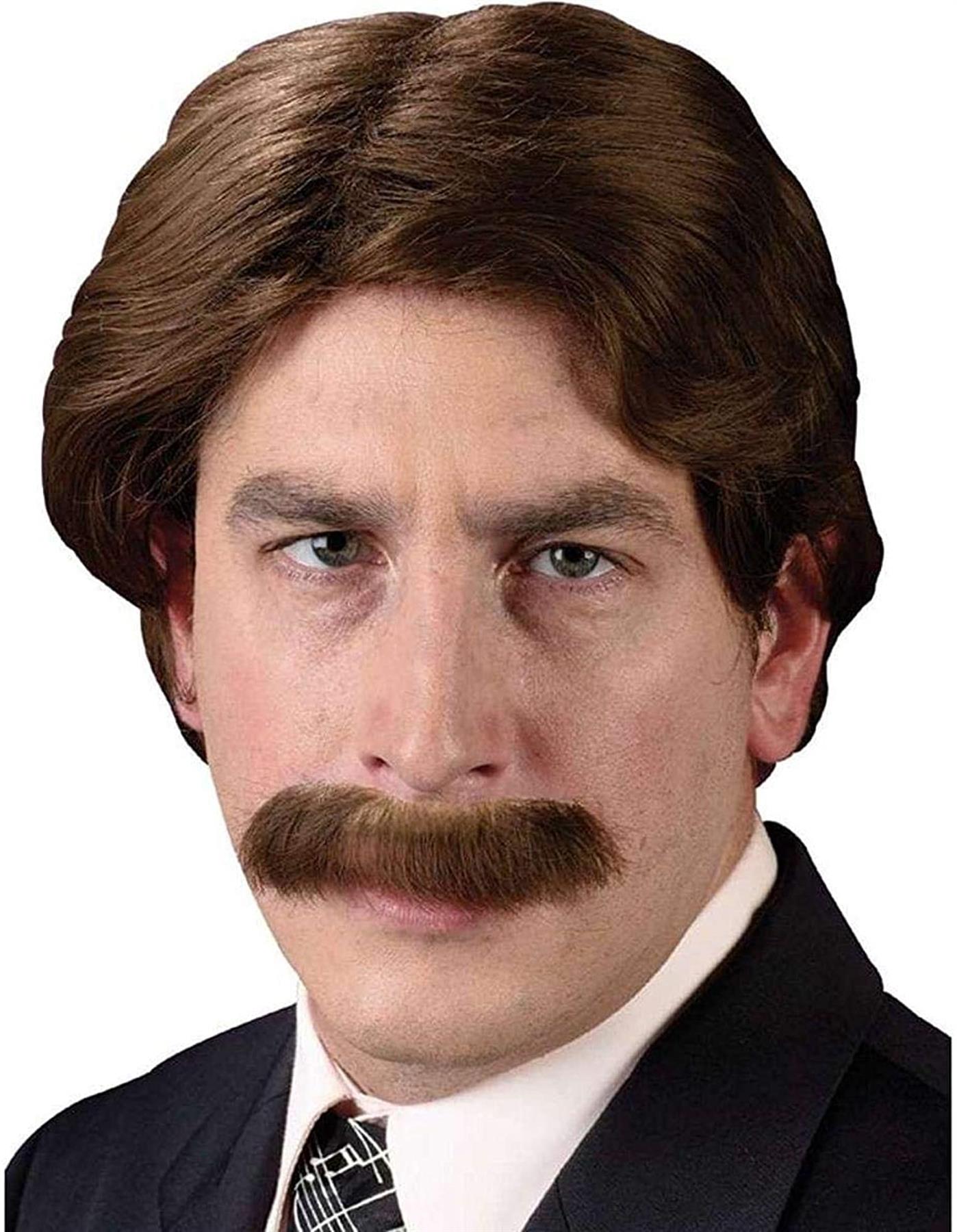 Fun World Men&#x27;s 70s Star Halloween Party Costume Wig, Brown, Standard