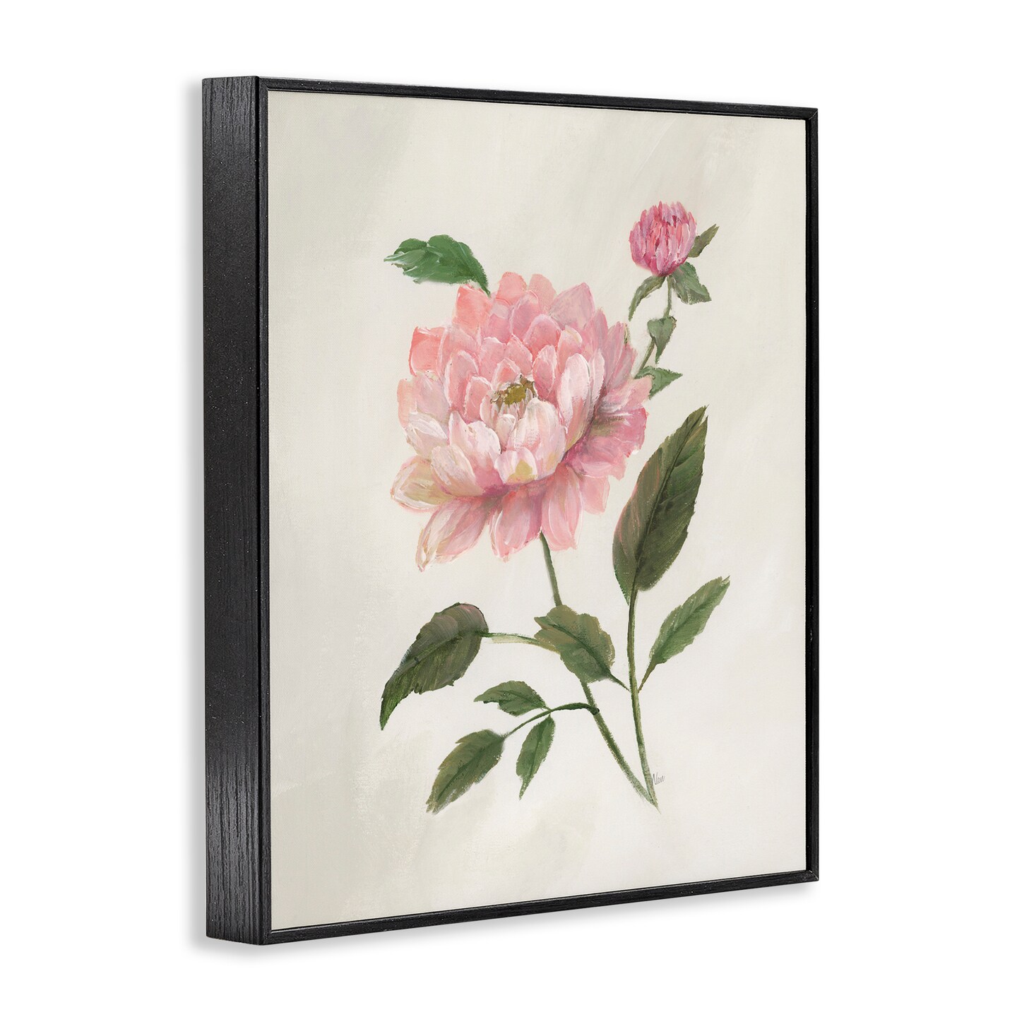 Stupell Industries Rosie Rose Flower Study Black Framed Giclee Art, design by Nan
