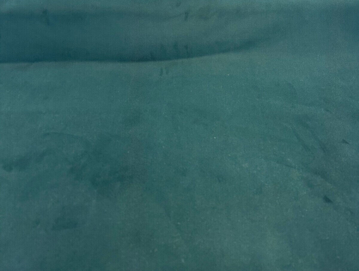 1 Yard Modern Velvet Upholstery Fabric in Dark Green Soft Low Pile 54 inch Width