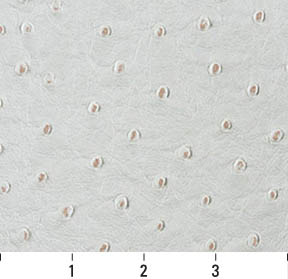 Cream - Beige & Taupe Animal Print Upholstery Fabric 54 Inches"