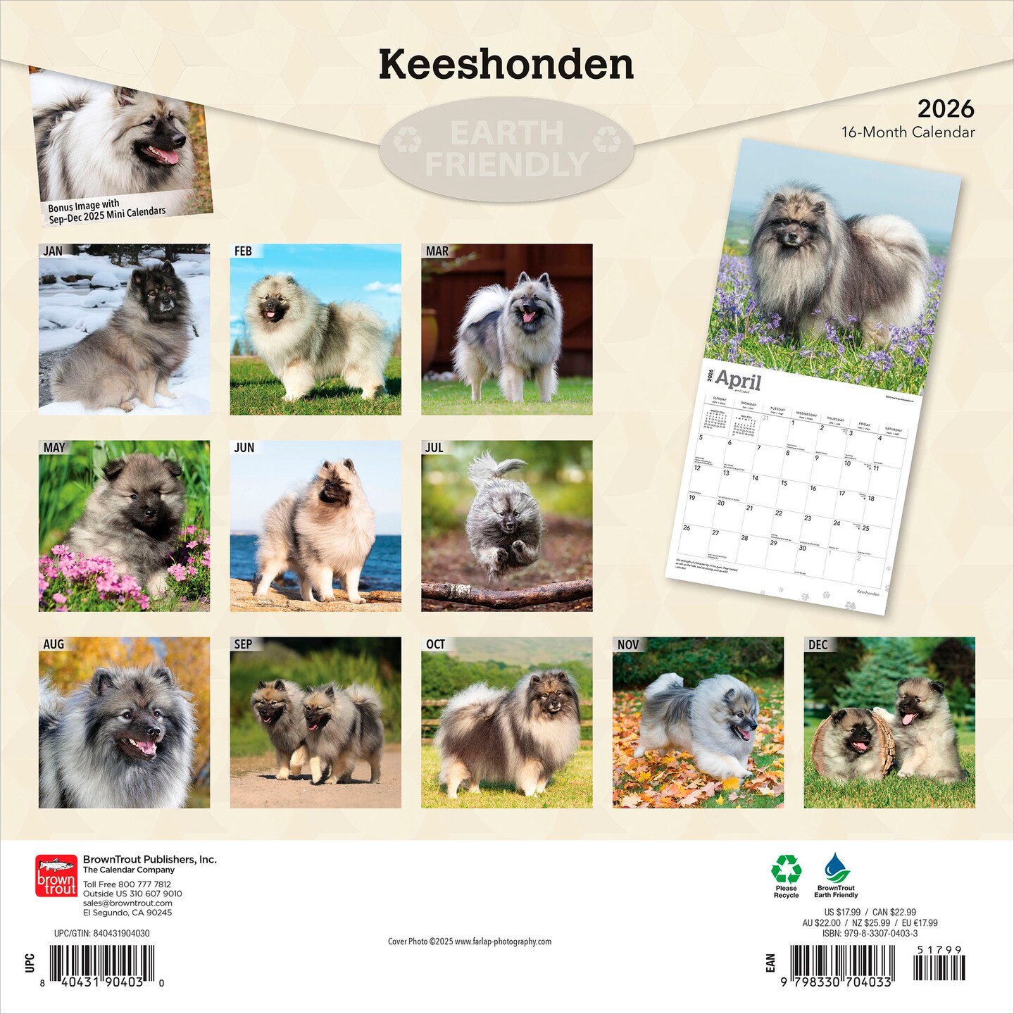 Keeshonden | 2026 12 x 24 Inch (Hanging) Monthly Square Wall Calendar | Plastic-Free