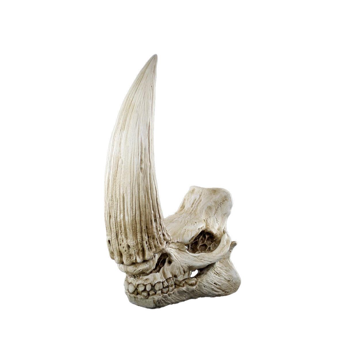 Star Wars Mudhorn Skull -The Mandalorian&#x2122; - Wall Decor Regal Robot