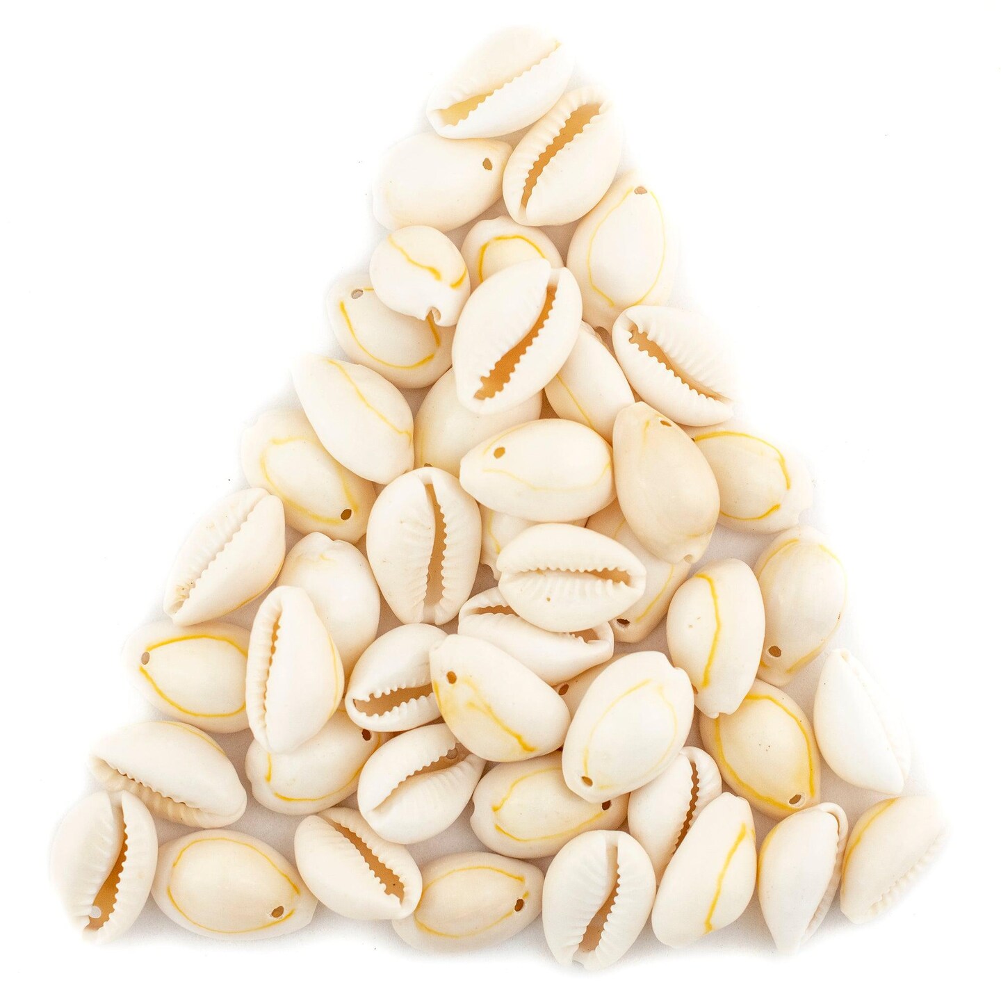 The Bead Chest Beige Drilled Cowrie Shells Large 13mm White Unusual