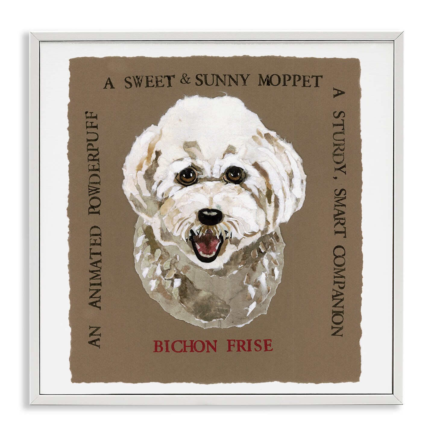 Stupell Industries Fun Bichon Frise Phrases Framed Giclee Wall Art Design by Nancy Overton