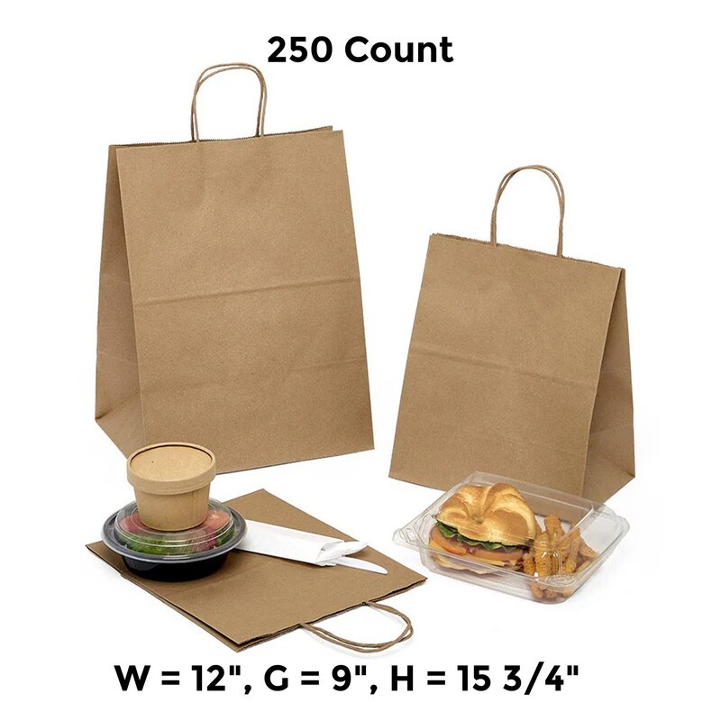 Tamper-Resistant Take-Out Shopping Bags Jumbo 12" x 9" x 15 3/4"