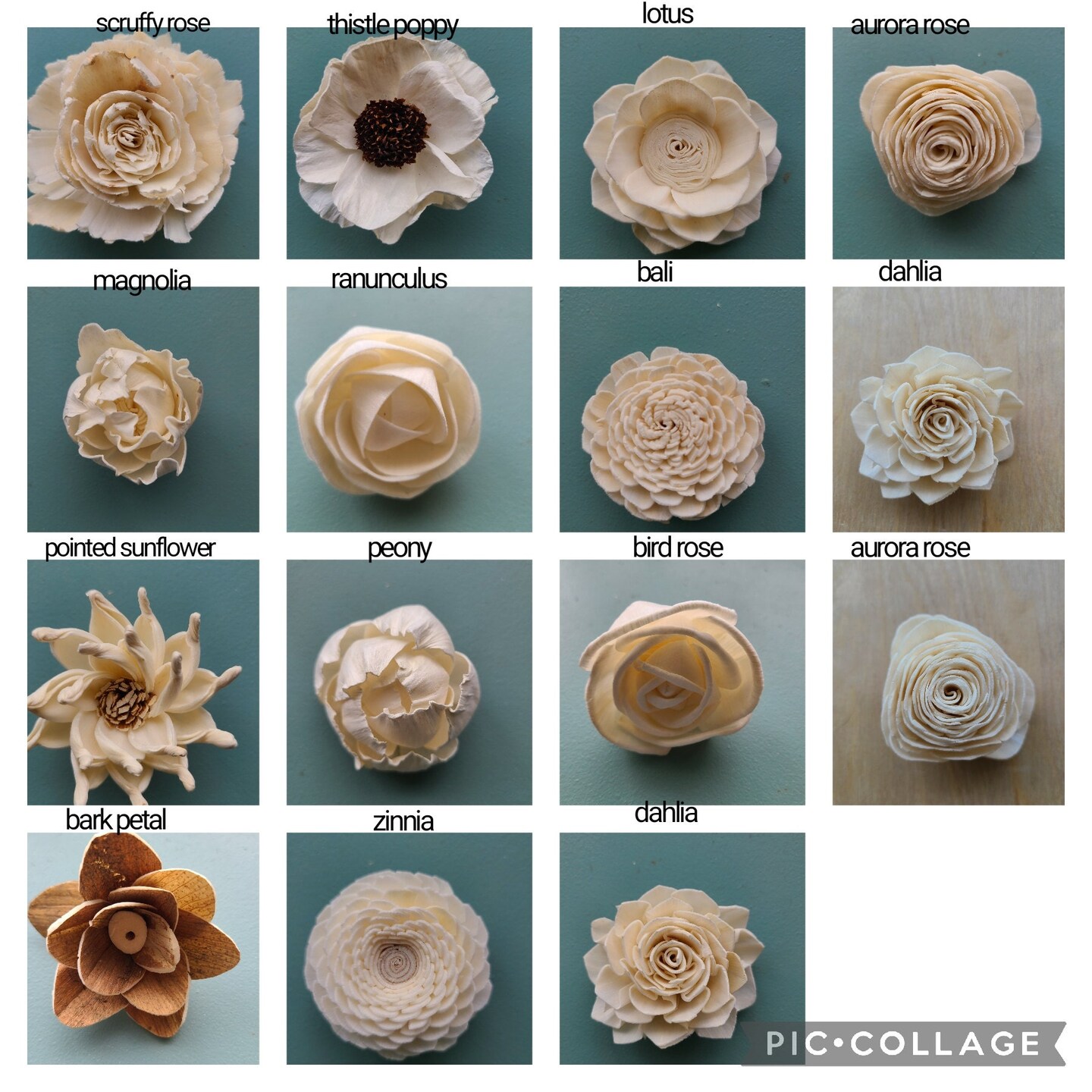 Sola Wood Flower Sample Pack | MakerPlace by Michaels