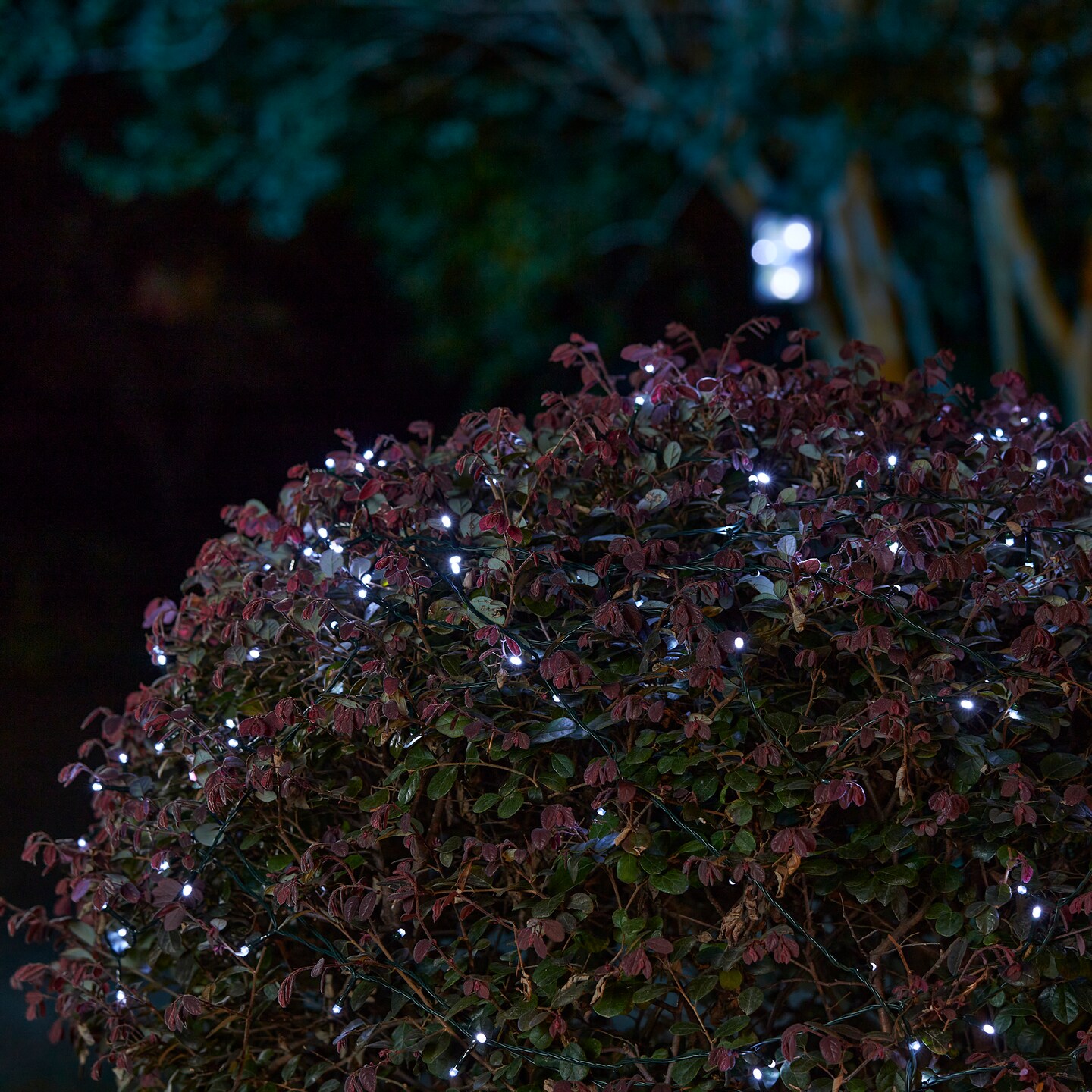 Set of 2 38.5ft. Solar String Light with 100 Lights