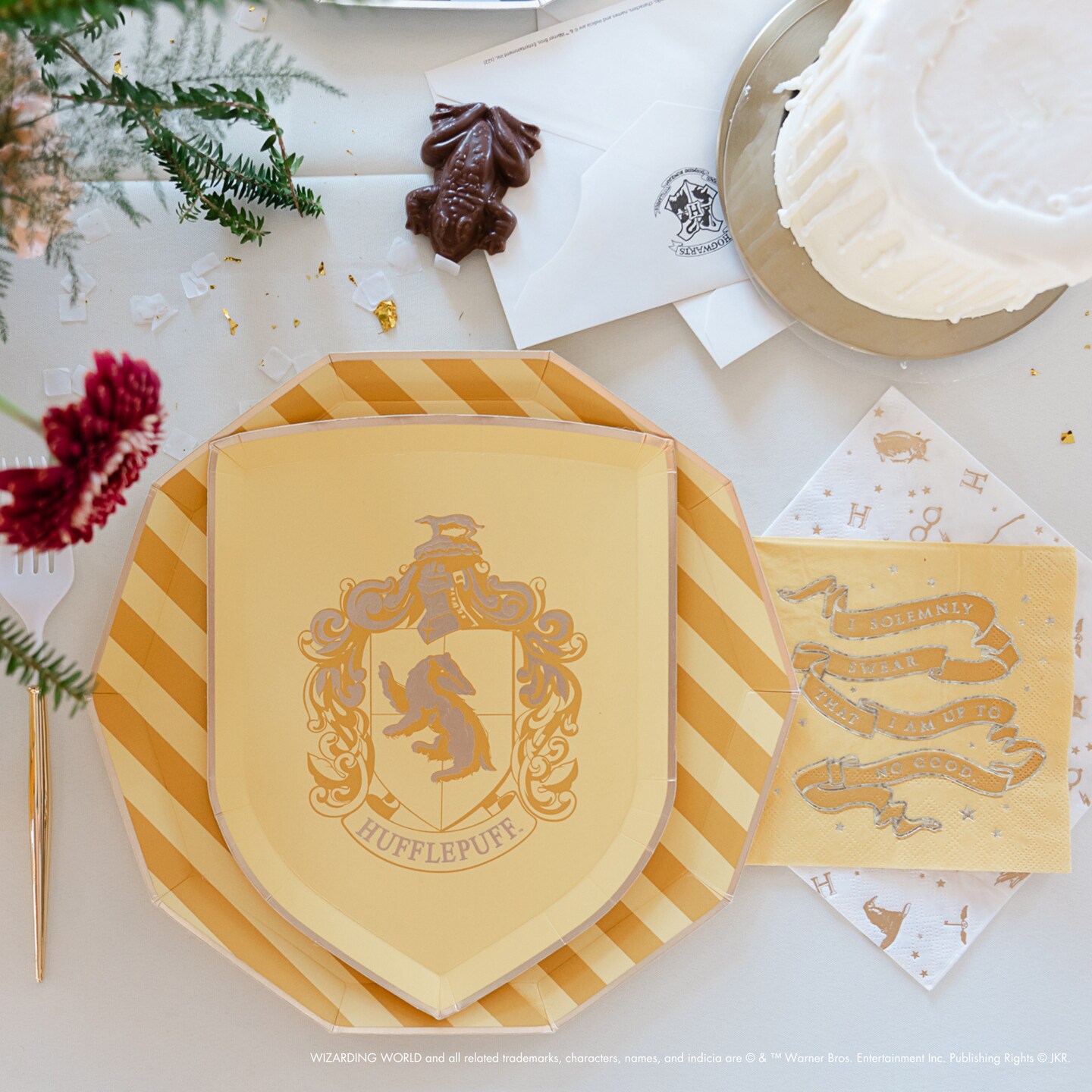 HARRY POTTER X BONJOUR FETE HOUSE PRIDE LARGE PARTY NAPKINS
