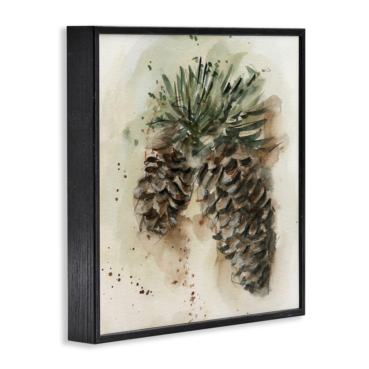 Stupell Industries Pine Cone Watercolor Framed Giclee Wall Art Design by Ethan Harper
