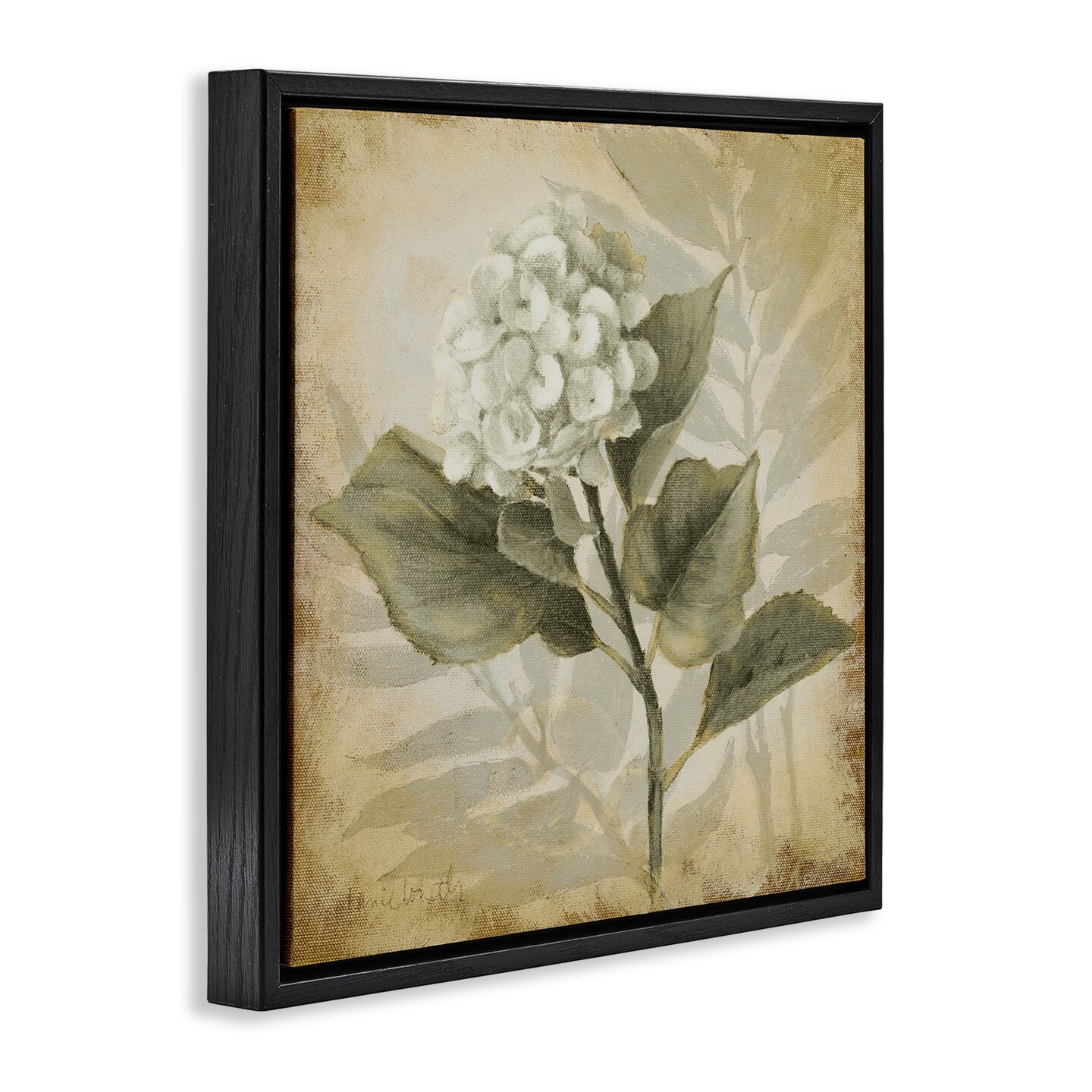 Stupell Industries Aubergine Hydrangea Impression Framed Floater Canvas Wall Art Design by Lanie Loreth