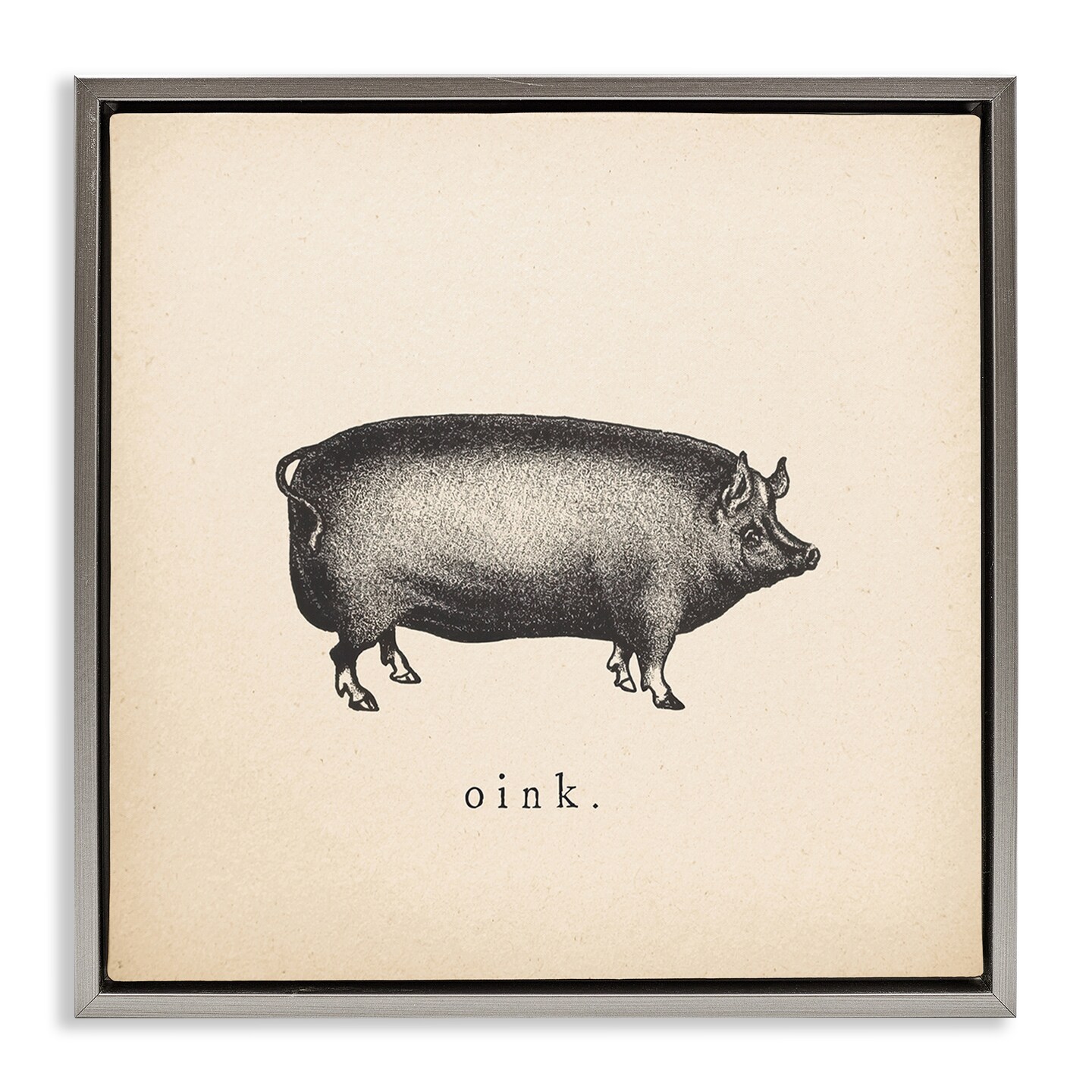 Stupell Industries Oink Farm Pig Sounds Framed Floater Canvas Wall Art Design by Wild Apple Portfolio