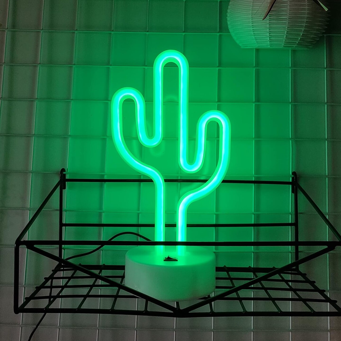 Neon Signs with Holder Base,USB or 3-AA Battery Powered Neon Light,LED Desktop Wall Decoration,Various Parties,Decoration of Business Premises(Cactus)