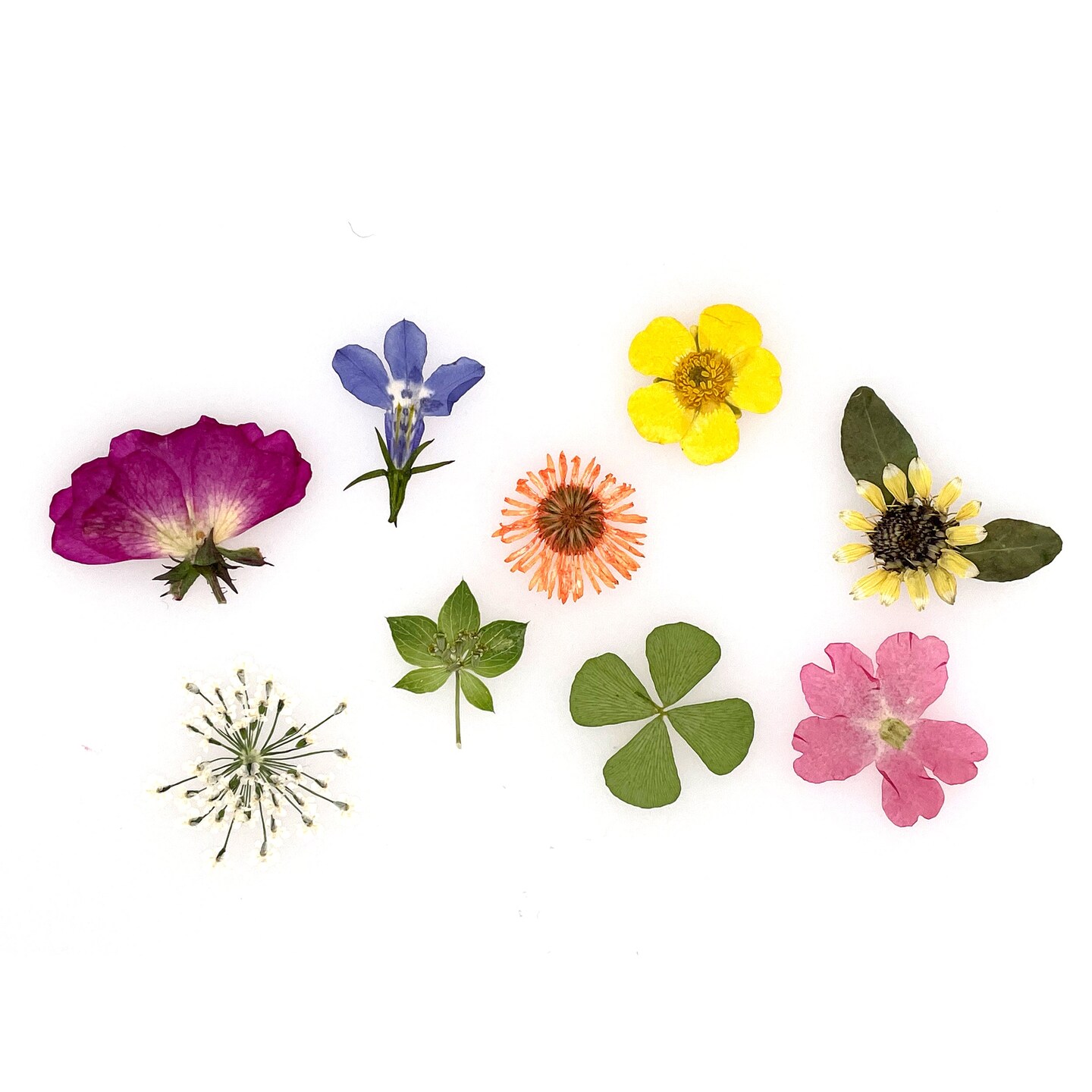 Resin Craft By Me&#x2122; Mini Dried Flower Resin Inclusions 24pc