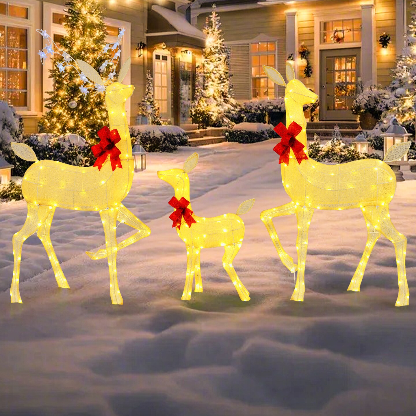 3 Pieces Lighted Family Deer Set with LED Lights and RGB Flashing Lights