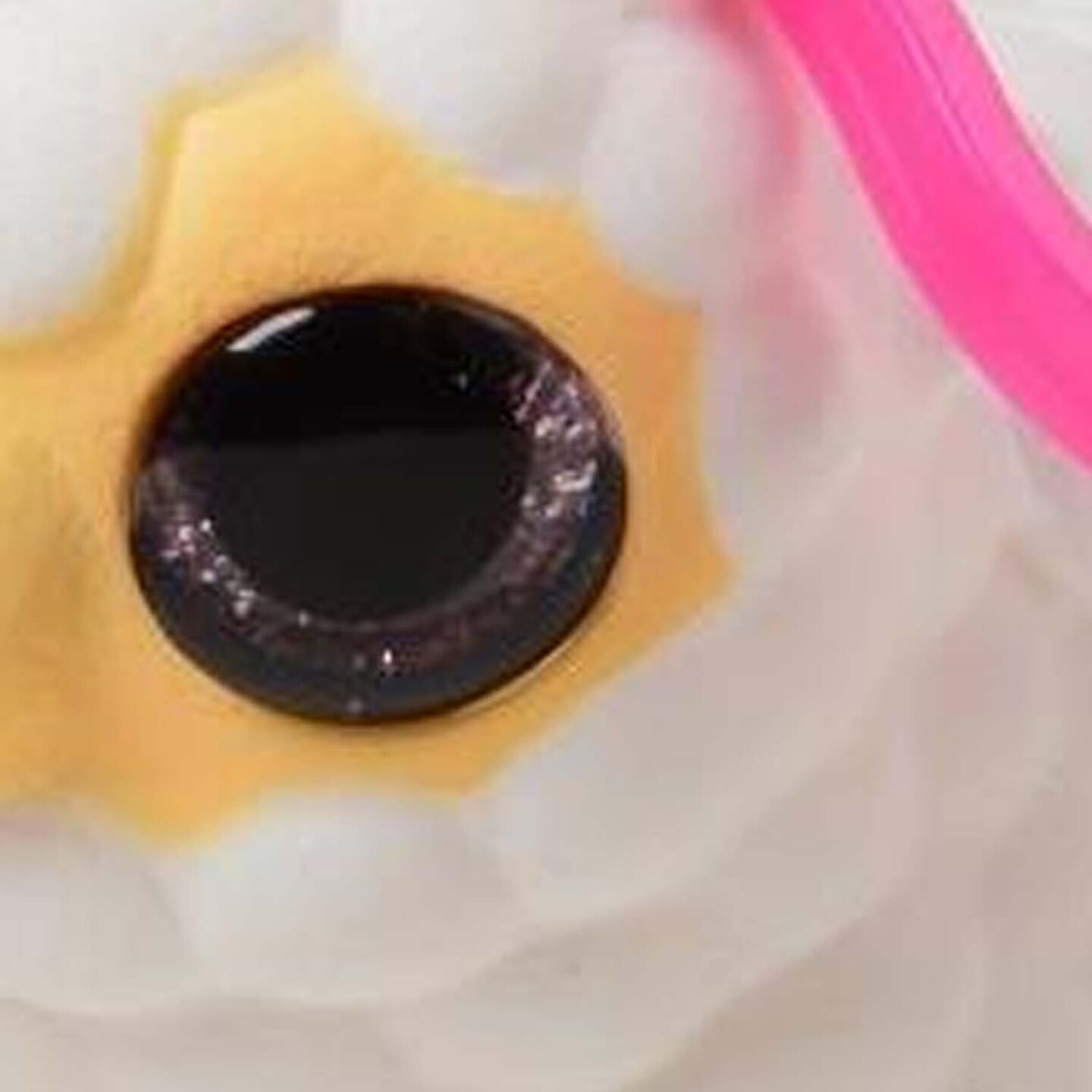 Squishy Llama W Glitter Eyes include 12 units