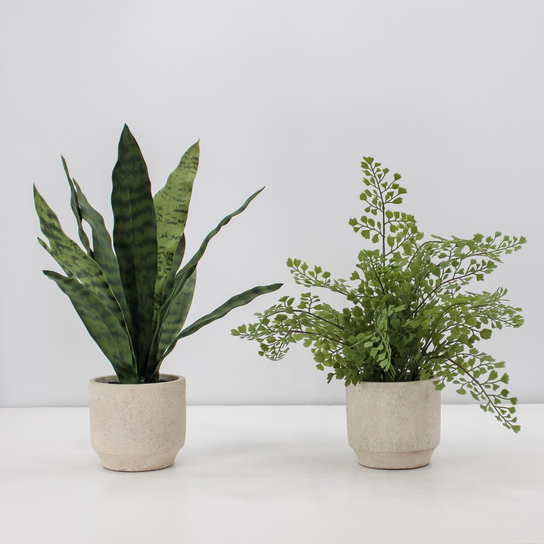 16&#x22; Faux Snake Plant &#x26; Fern Set