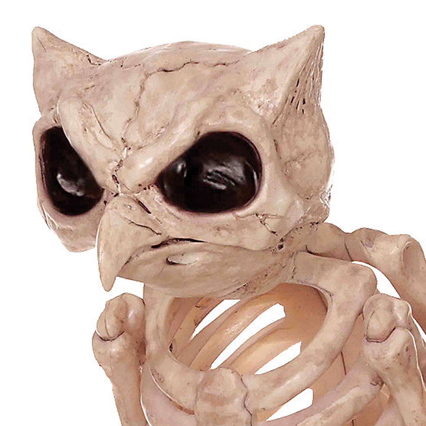 Owl Skeleton Decoration