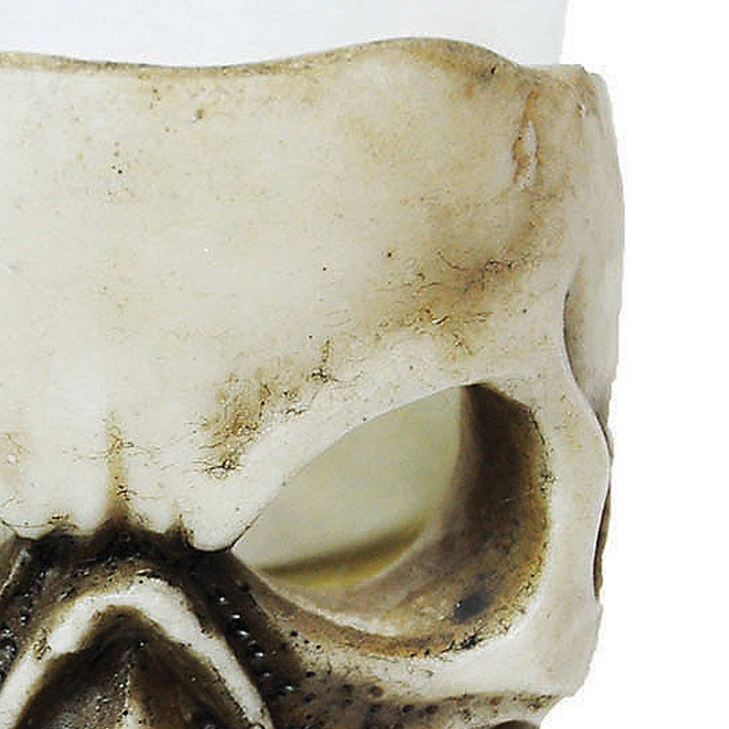 Skull Shot Glass 3.5 Inch Halloween Party Favor