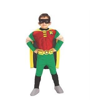 Boy&#x27;s Robin Costume