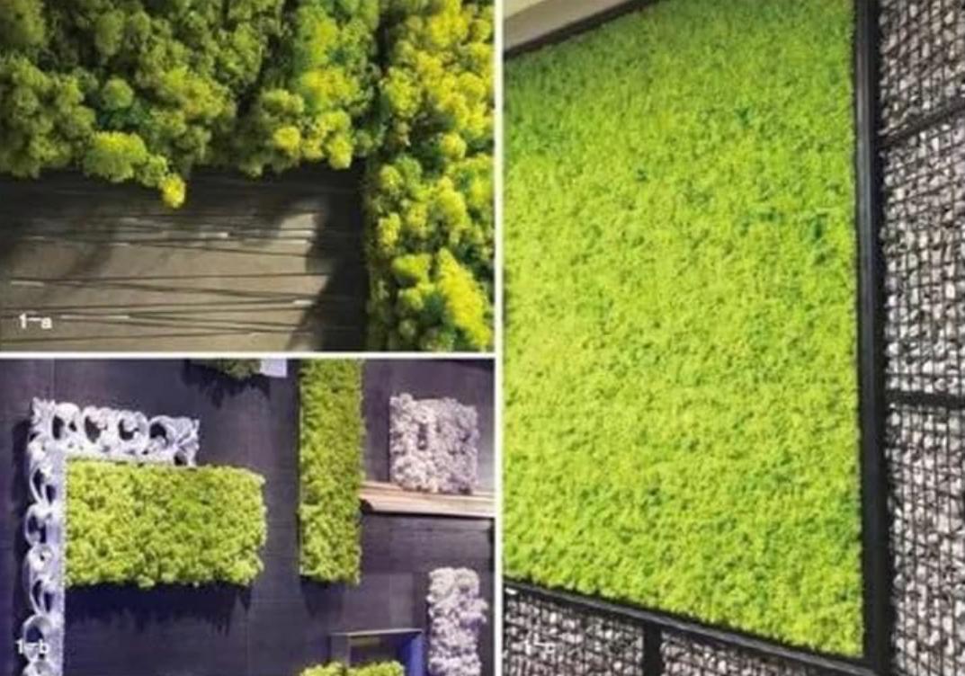 Moss Preserved Lime Green for Fairy Gardens Terrariums, Craft, DIY, Floral, 1 Kg - Musgo Preservado