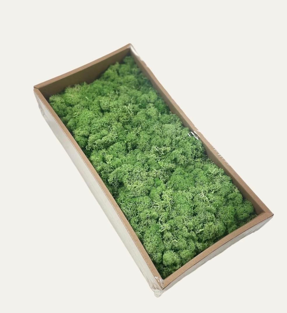 Moss Preserved Dark Green for Fairy Gardens Terrariums, Craft, DIY, Floral, 1Kg Musgo Preservado