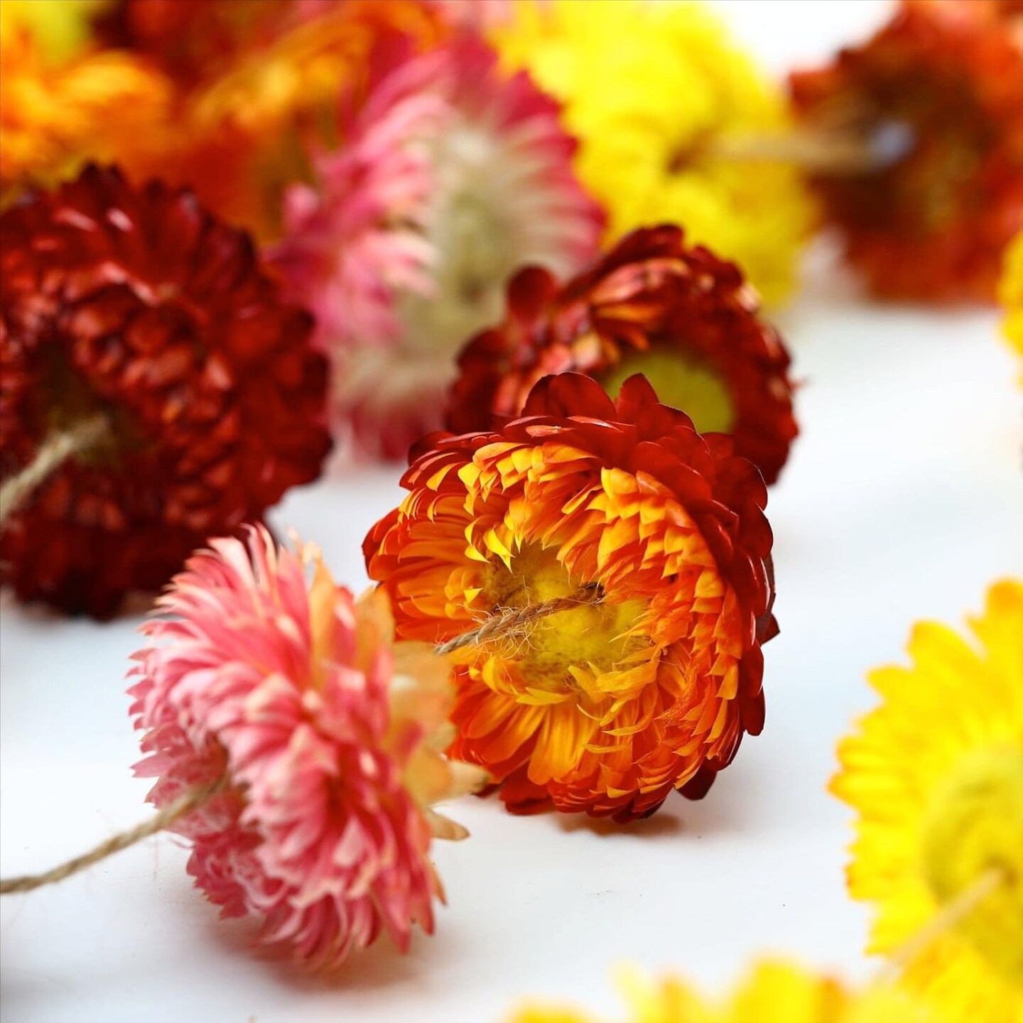 Garland Real Daisy Sunflower Garlands Dry Flower Chain