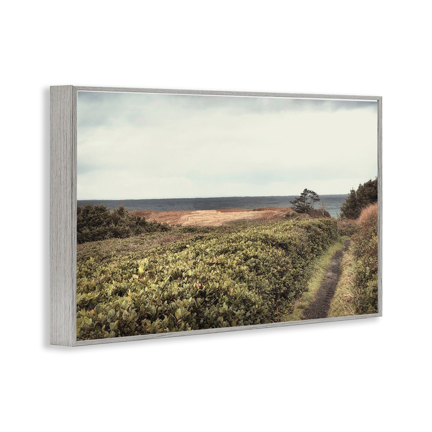 Stupell Industries Serene Coastal Pathway Framed Giclee Wall Art Design by Andy Amos