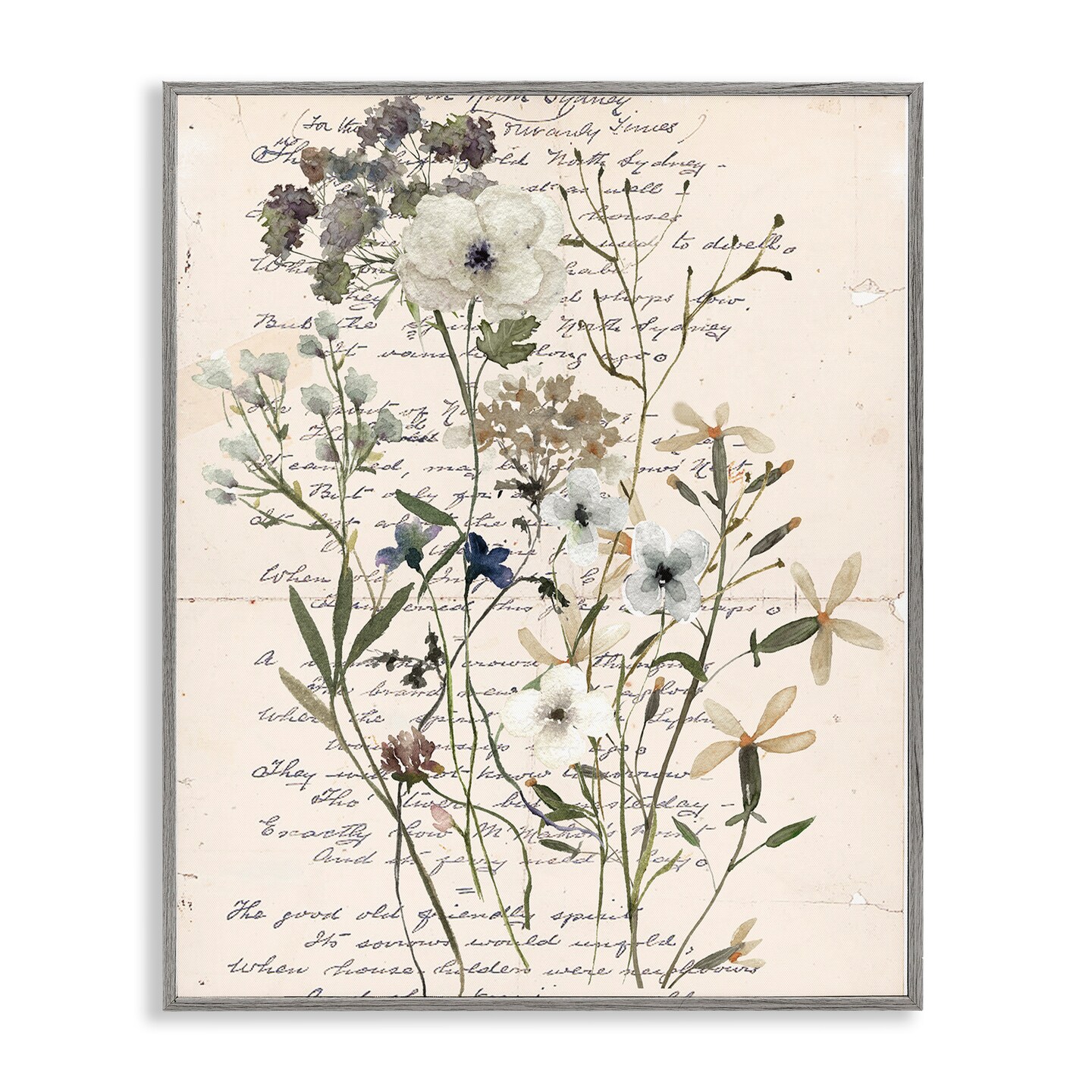 Stupell Industries Vintage Pressed Flowers Framed Giclee Wall Art Design by Carol Robinson