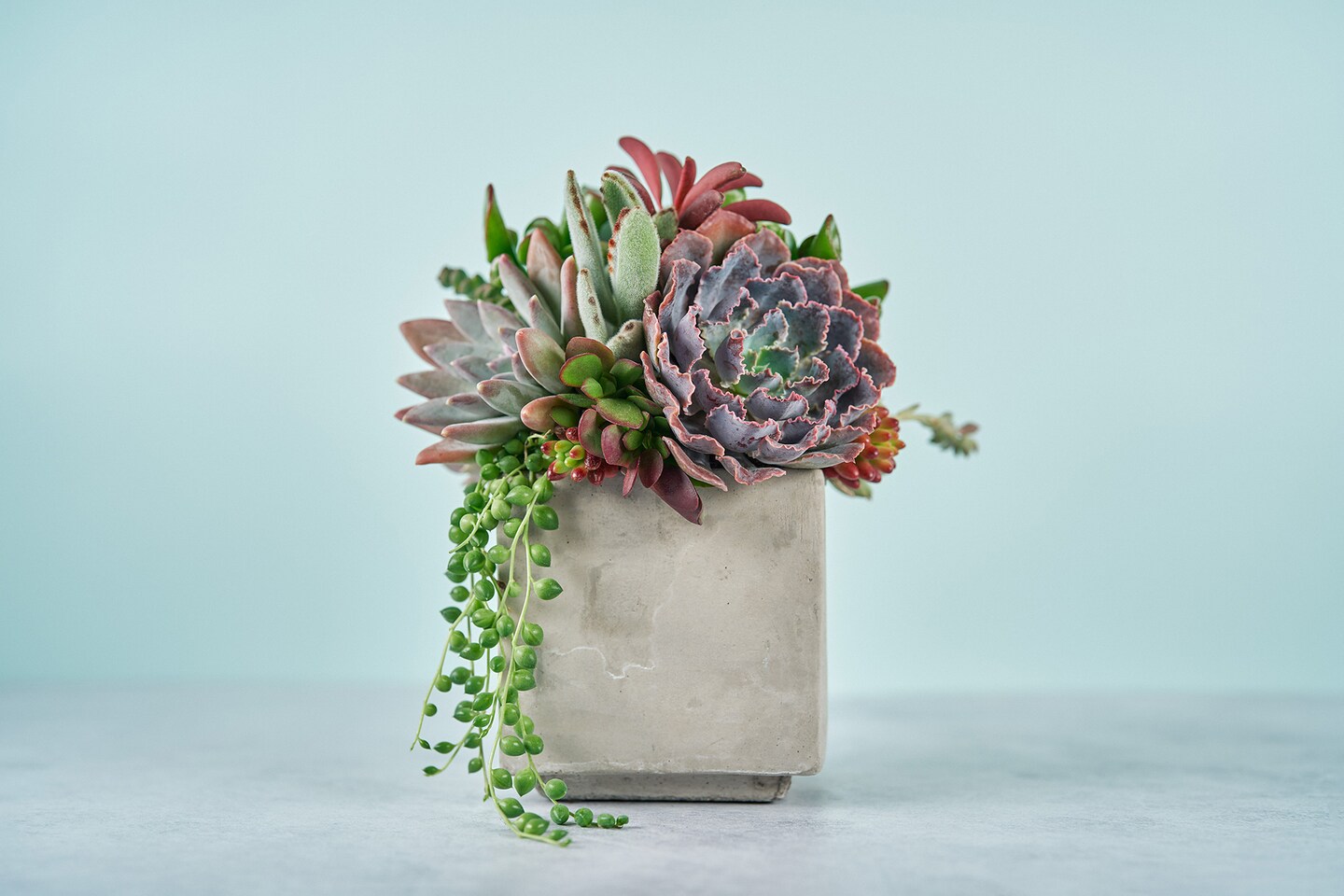 Cement Cube Succulent Arrangement Planter