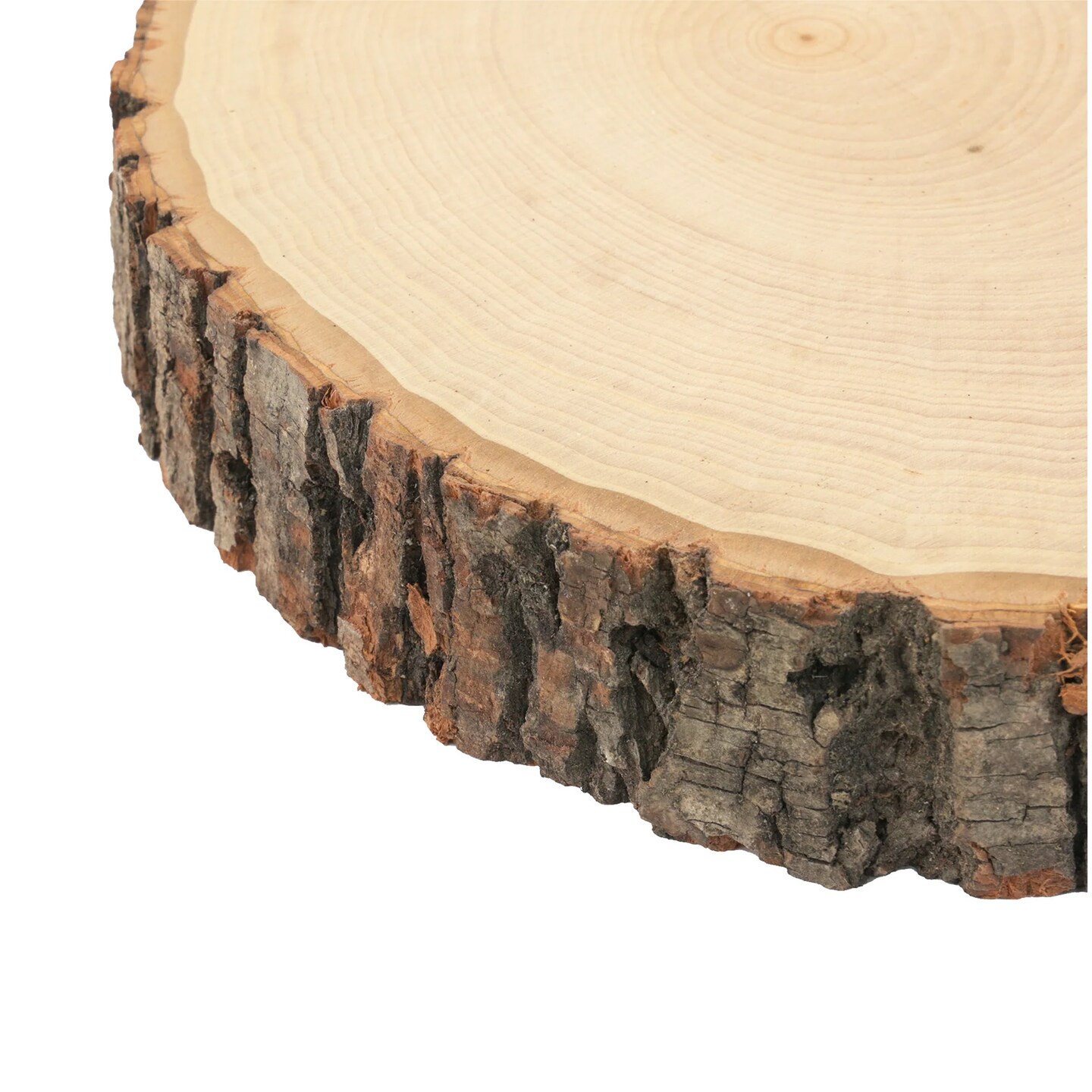 Rustic Basswood Bark Edge Slab, Thick &#x26; Extra Large, 5-Pack