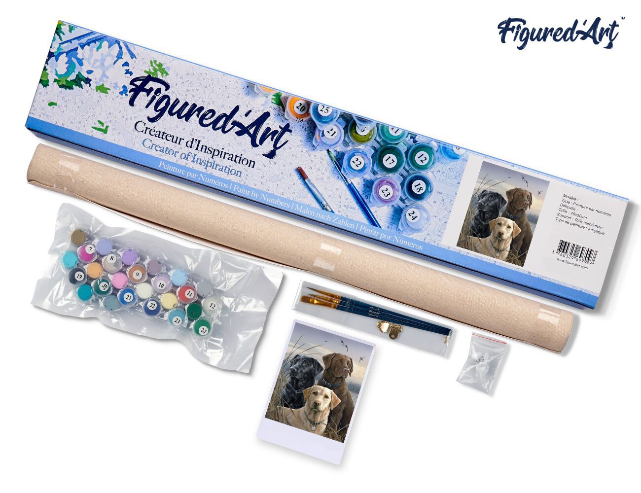 Figured'Art Paint by Numbers Kit for Adults Labrador Trio 16"x20" - Craft Art Painting DIY Kit Rolled Canvas without frame