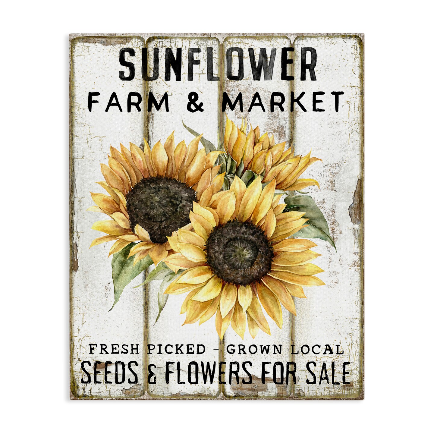 Stupell Industries Sunflower Farm & Market Canvas Wall Art Design by Creatif Belle