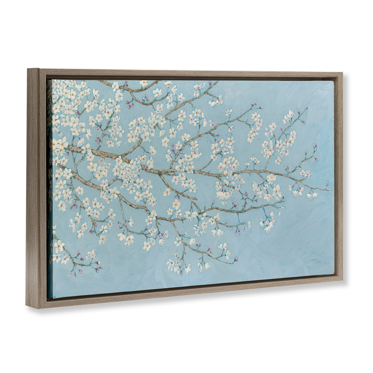 Stupell Industries Delicate Apple Blossoms Floater Framed Canvas Wall Art Design by Wellington Studio