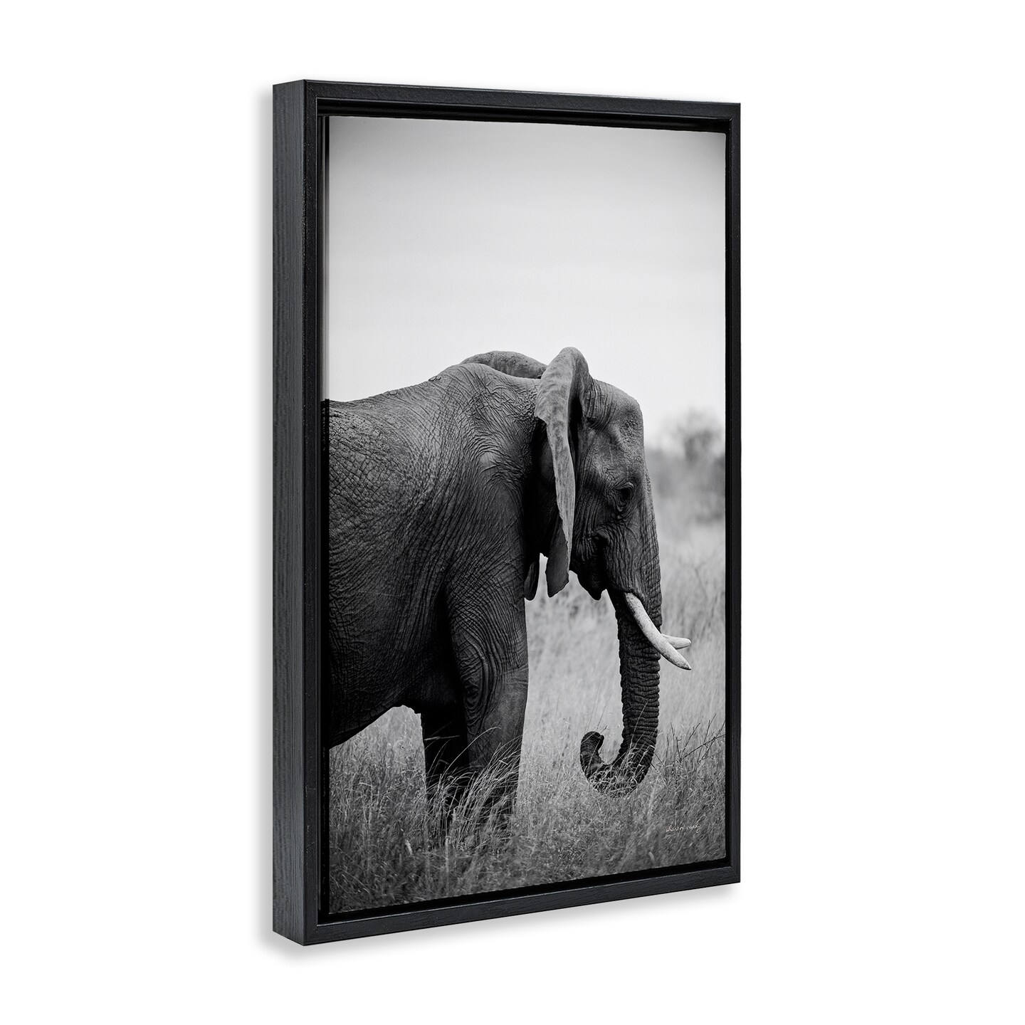 Stupell Industries Side Profile Elephant Floater Framed Canvas Wall Art Design by Sharon Vardy