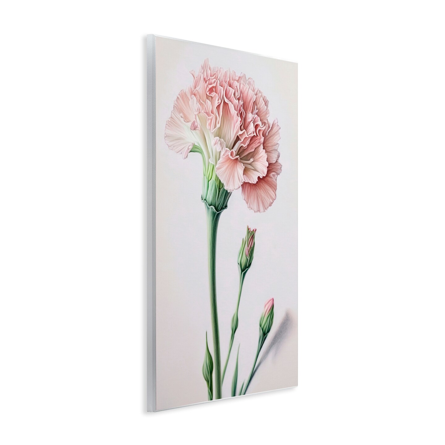 Stupell Industries Pale Carnation Budding Wall Plaque Art Design by Incado