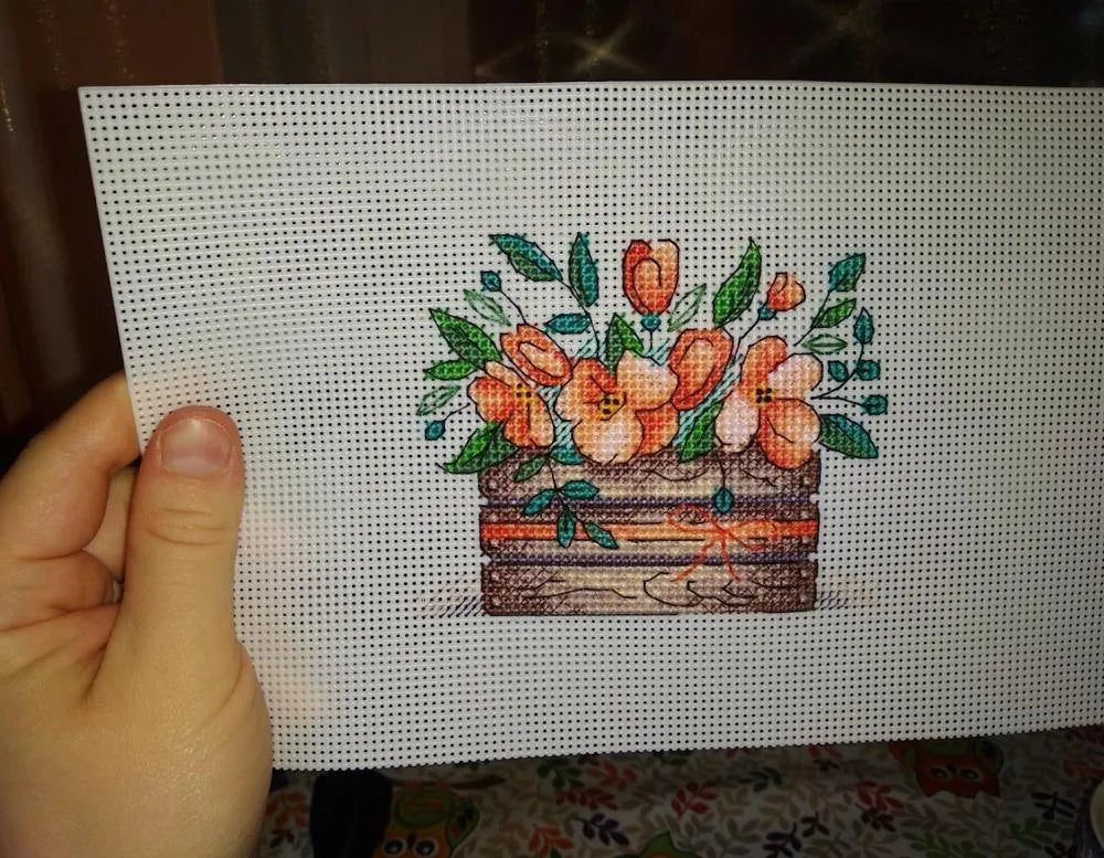 Plastic Canvas 14ct