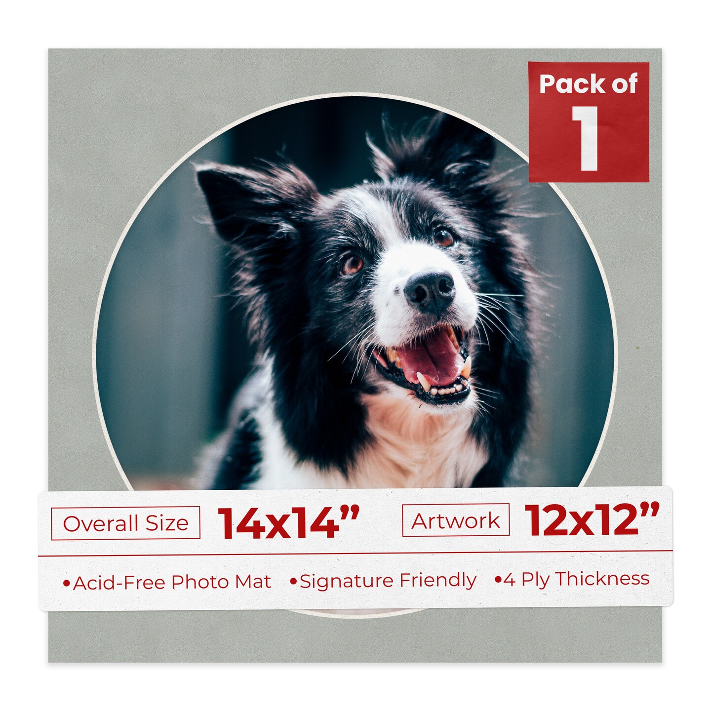 Light Grey Suede Mat Board for 14x14 Frames - Circle Opening for 12x12 Photos