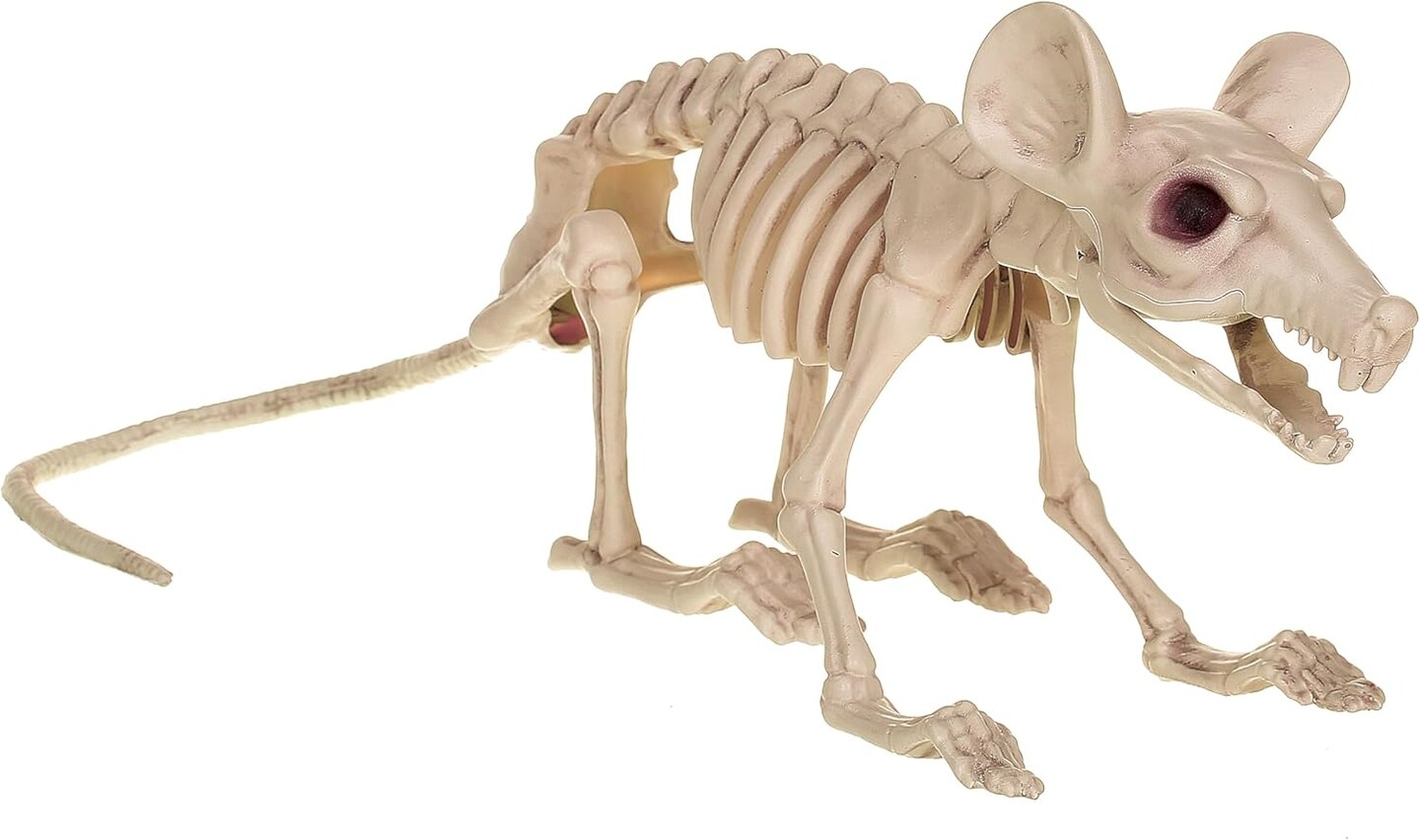Creepy Skeleton Rat Prop Perfect
