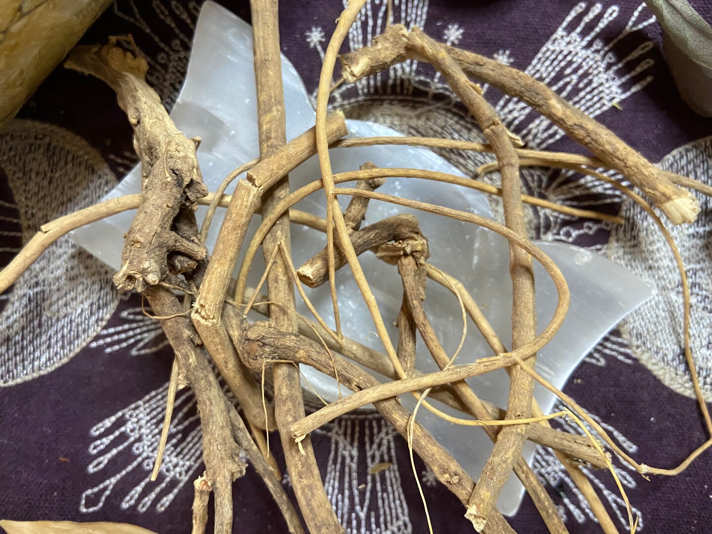 Devil’s Shoestring, Remove Negative Energy, Luck, Protection, Invisibility, Keep Away Evil, Control Over Person, All Natural, Pagan, Witchcr