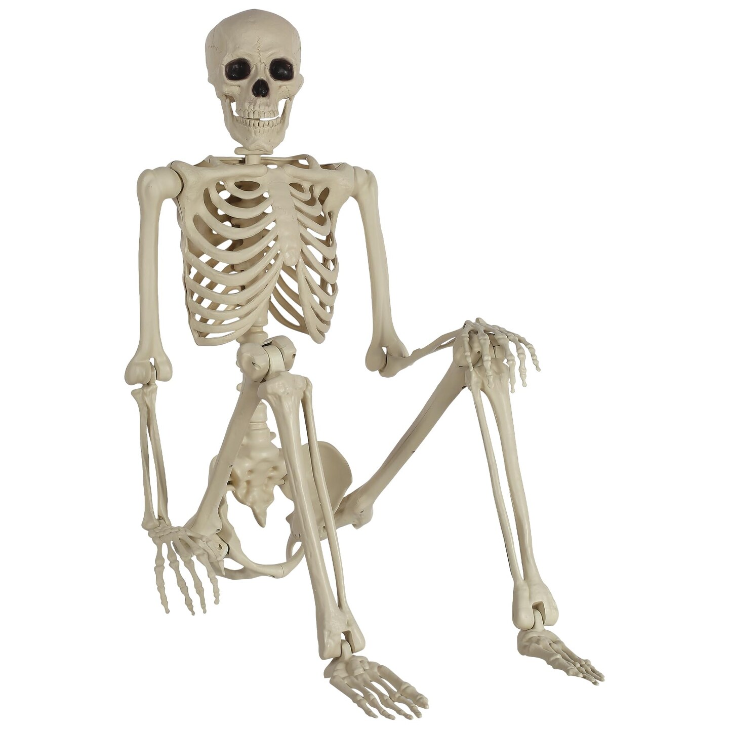Party City Life-Size Skeleton Poseable  5ft - Full Size Skeleton Halloween Decor with Attached Cord for Hanging - Halloween Decorations for Indoor &#x26; Outdoor Use