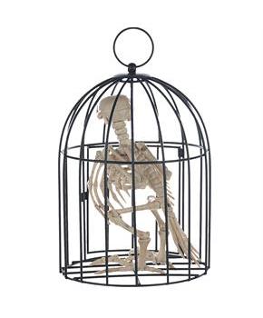 Skeleton Crow In Cage