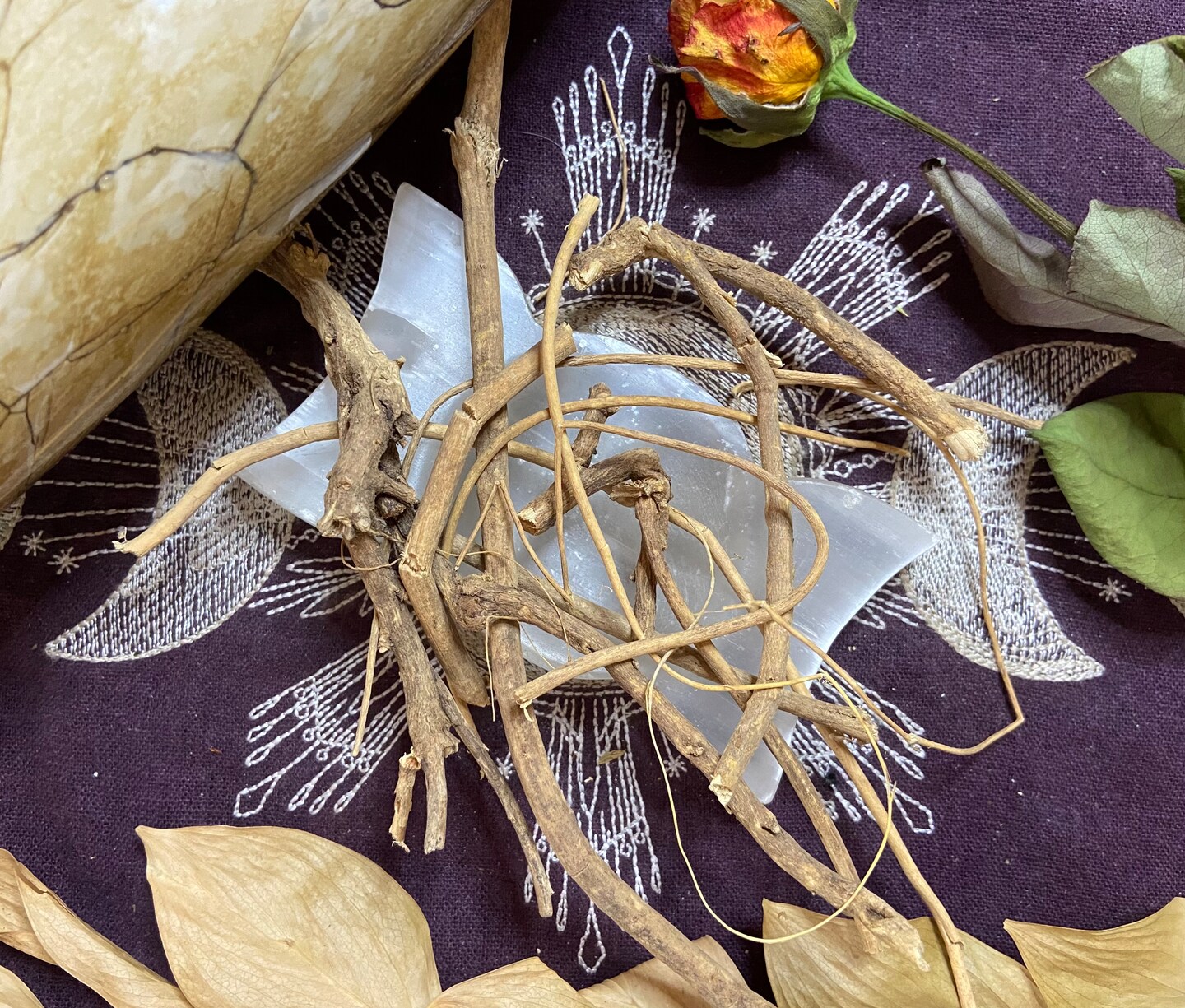 Devil’s Shoestring, Remove Negative Energy, Luck, Protection, Invisibility, Keep Away Evil, Control Over Person, All Natural, Pagan, Witchcr