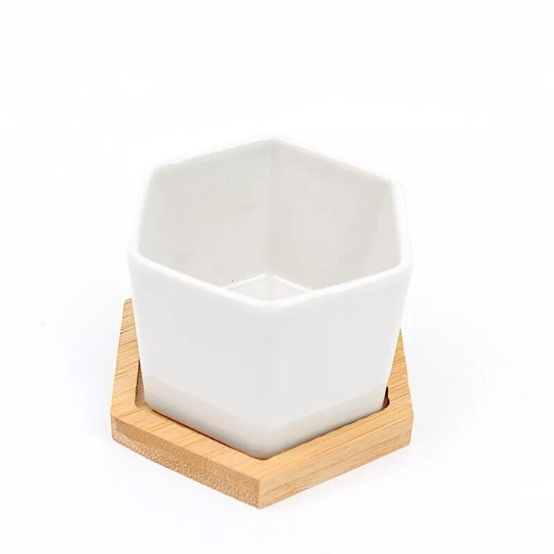 6 Natural White 3&#x22; Mini Ceramic Flower Pots Hexagon Geometric Planters Party