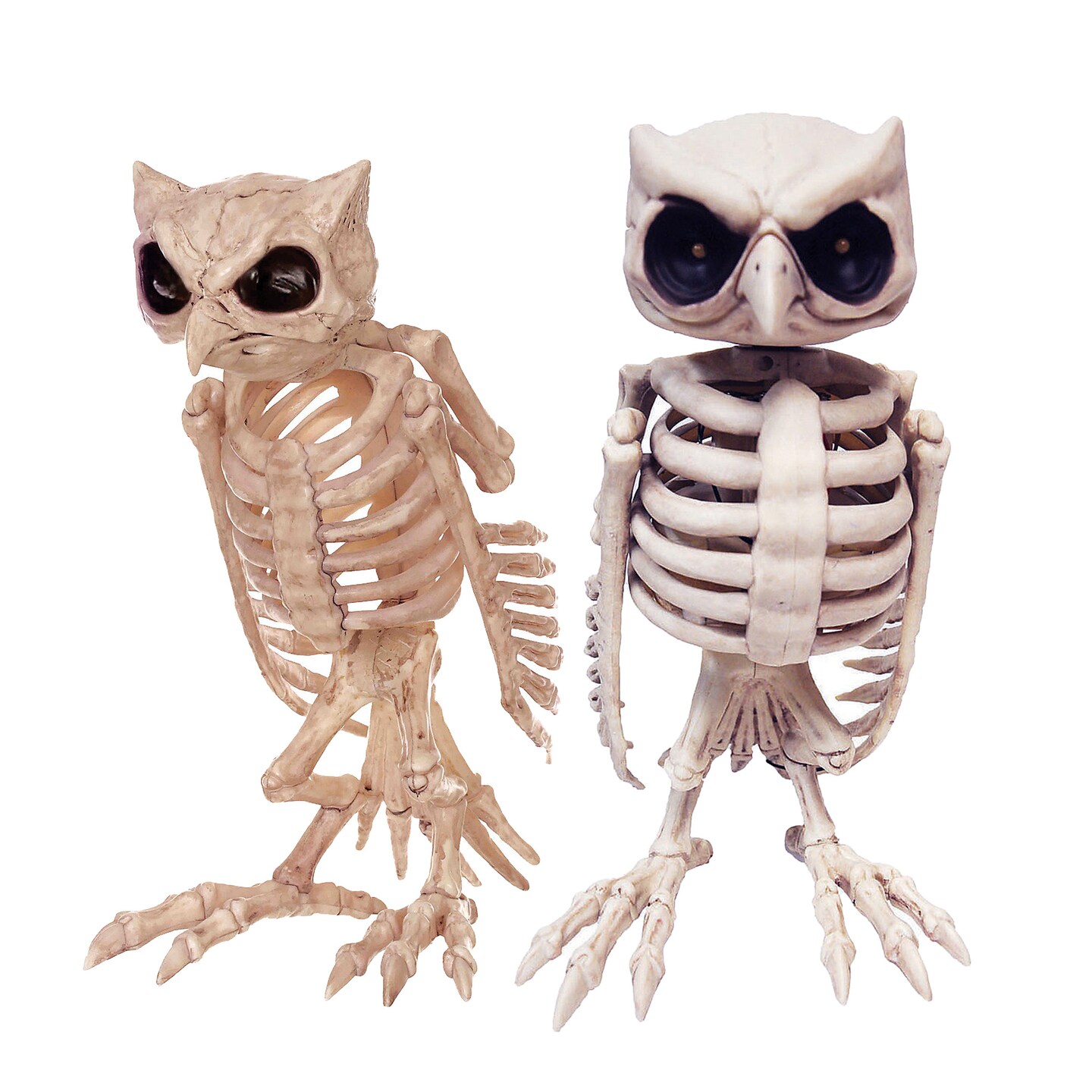 Owl Skeleton Decoration 13.5 inches Tall