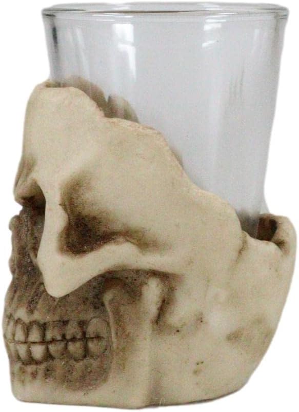 Skull Shot Glass 3.5 In
