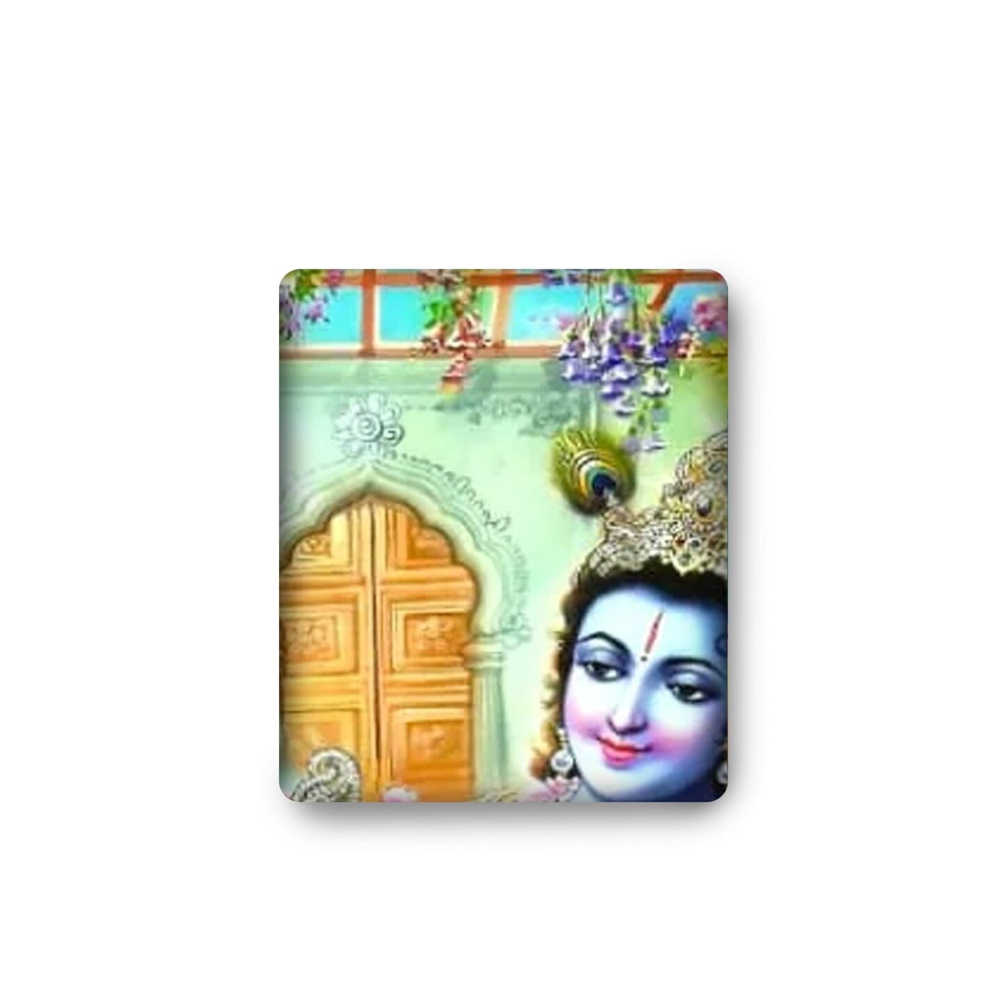 Radha Krishna with Peacock Backdrop Indian Traditional Cloth 5x8 Feet Backdrop Indian Janmashtami Decor Pooja Wall Decor Indian Wall Art Photo Decor Banner Decorative Pooja Cloth